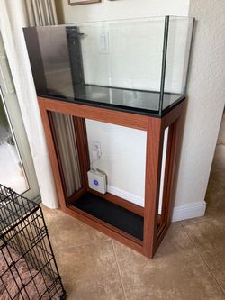 20 gallon salt water tank