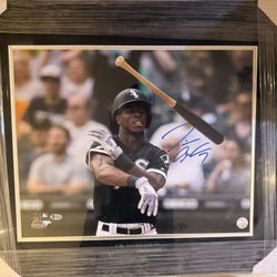 Tim Anderson Bat Flip