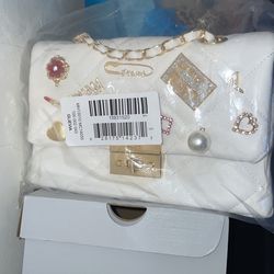New Aldo Purse 