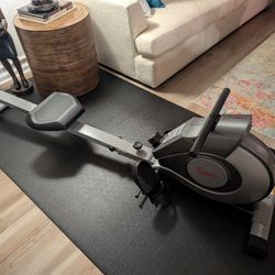 Rower Sunny Health and Fitness SF RW5515