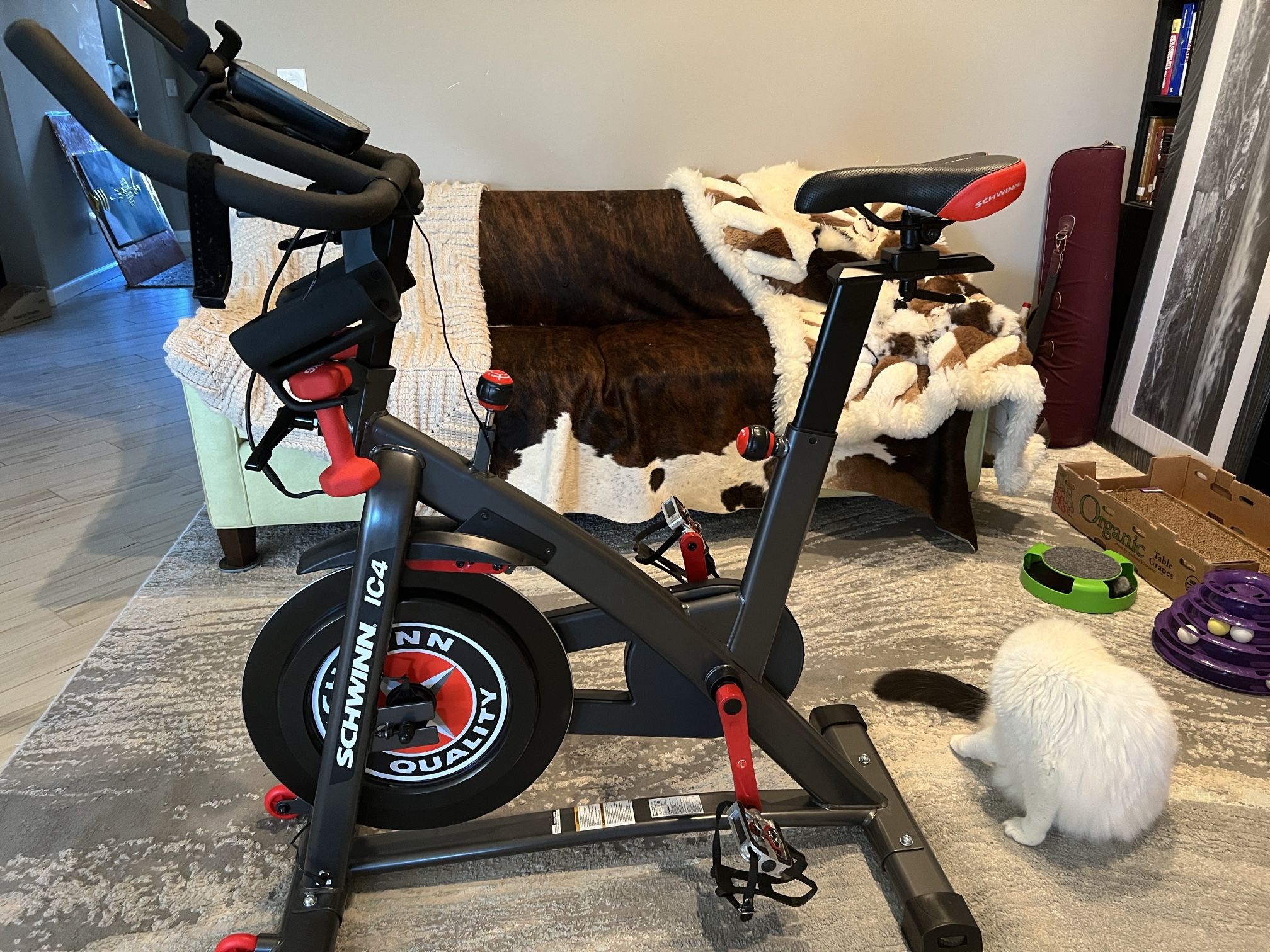 Schwinn arbitrary ic4 rouvy