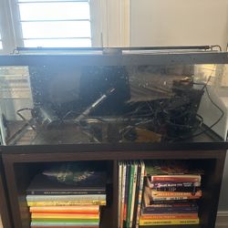 20 Gallon Freshwater Fish Tank Setup