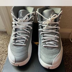 Air Jordan 12s