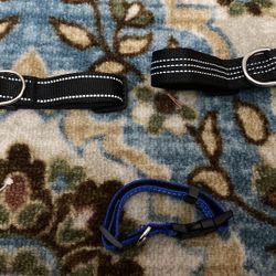 Dog Collars Size M & One Size S 