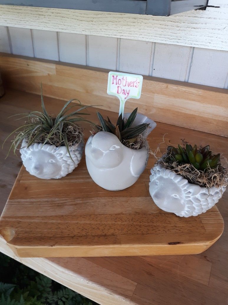 Animal Planters with Plant 