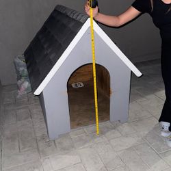 Dog House 