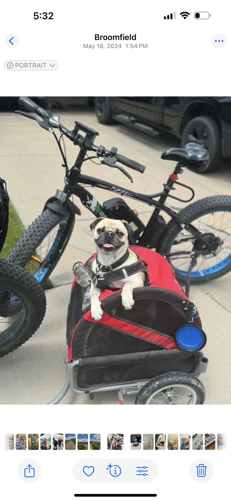 Pet Or Grocery Trailer