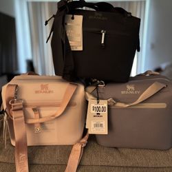 Stanley All Day Julienne Mini Cooler/Free Stanley Cup