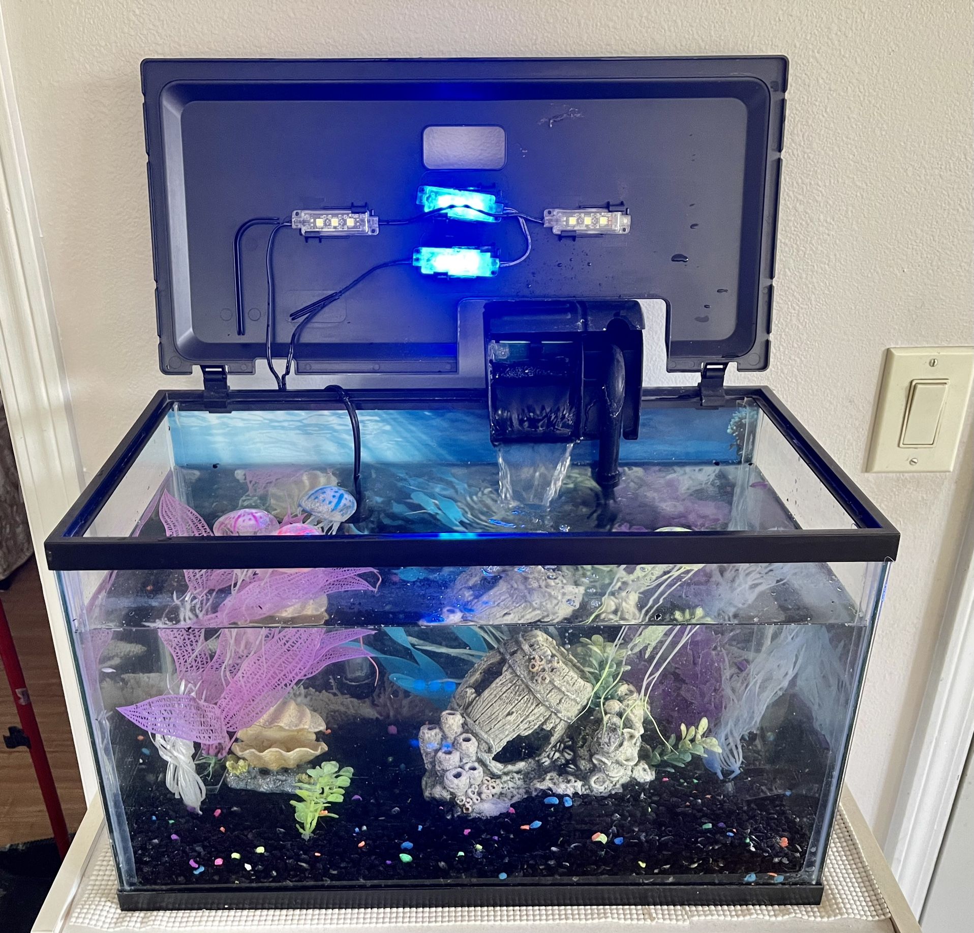 Fish Tank 10 Gallon with Full Setup 