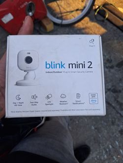 Blink mini 2