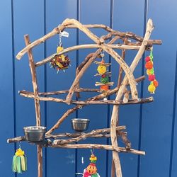 African Grey - Amazon Parrot Perch Tree —- All Custom All Natural - Breeder Direct Wholesale Price !! 