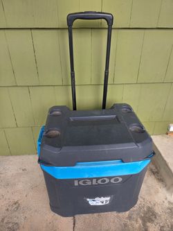 Igloo ice chest