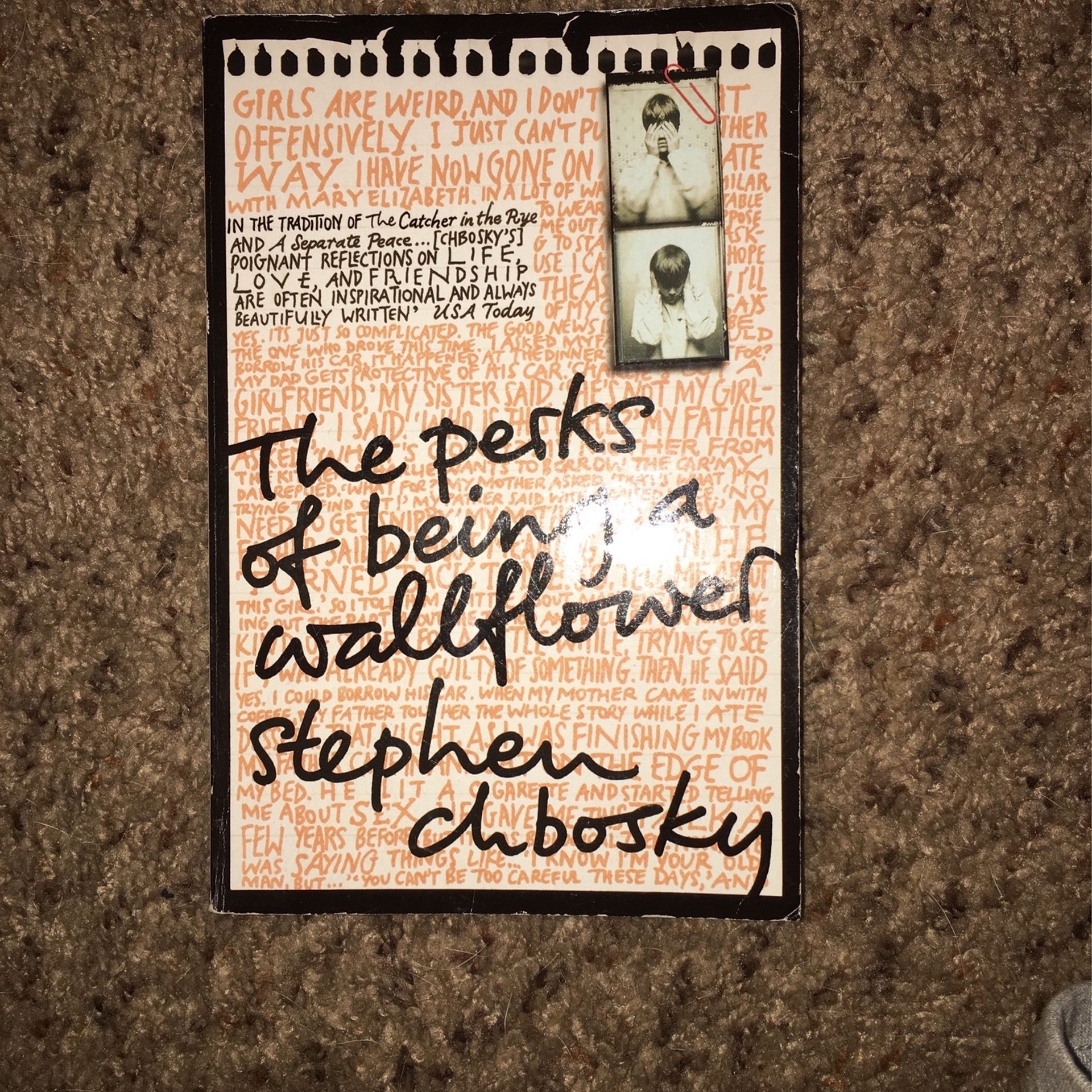 Th Perks Of Being A Wallflower (Book)