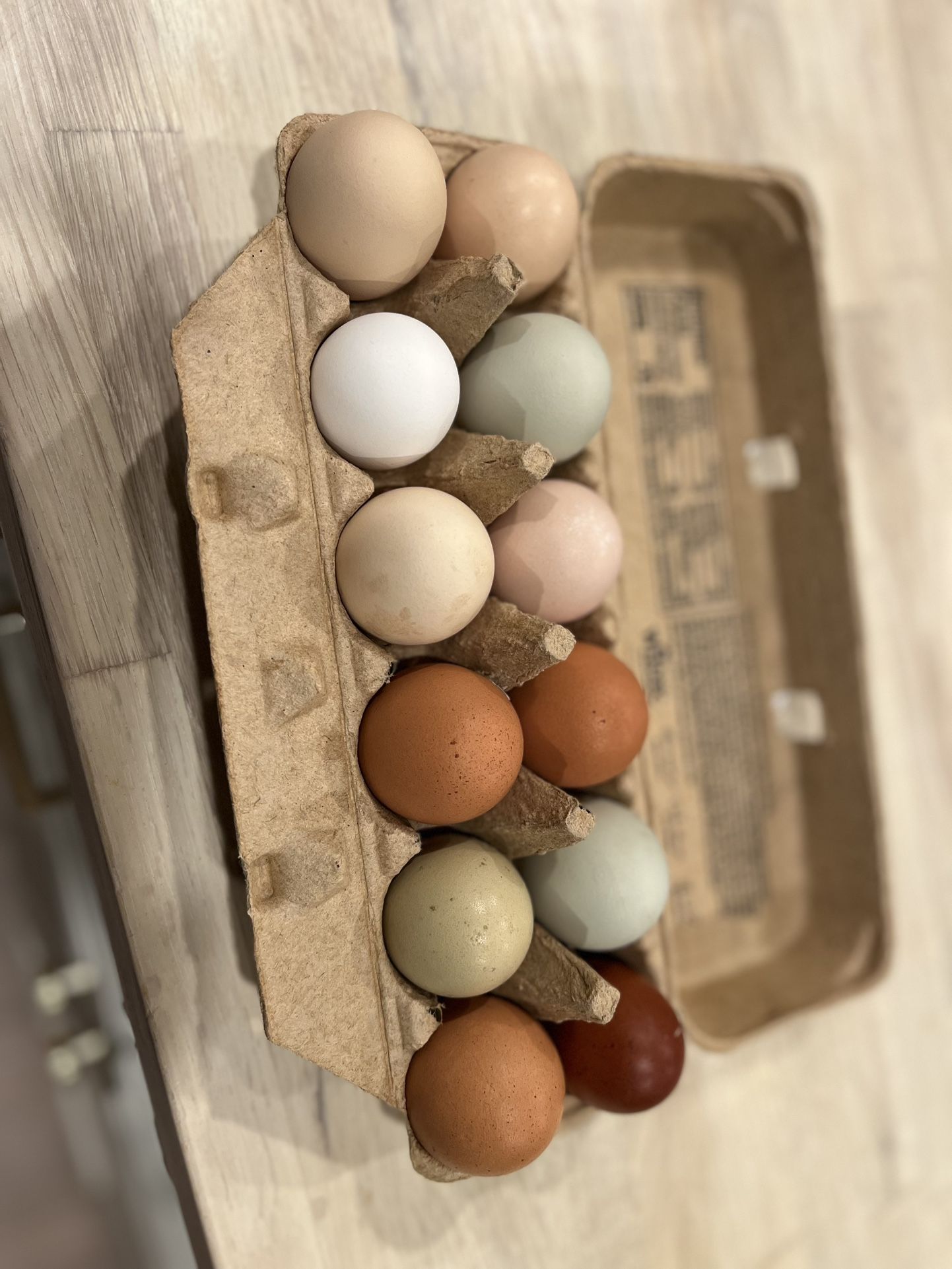 Organic Pasture Raised Eggs