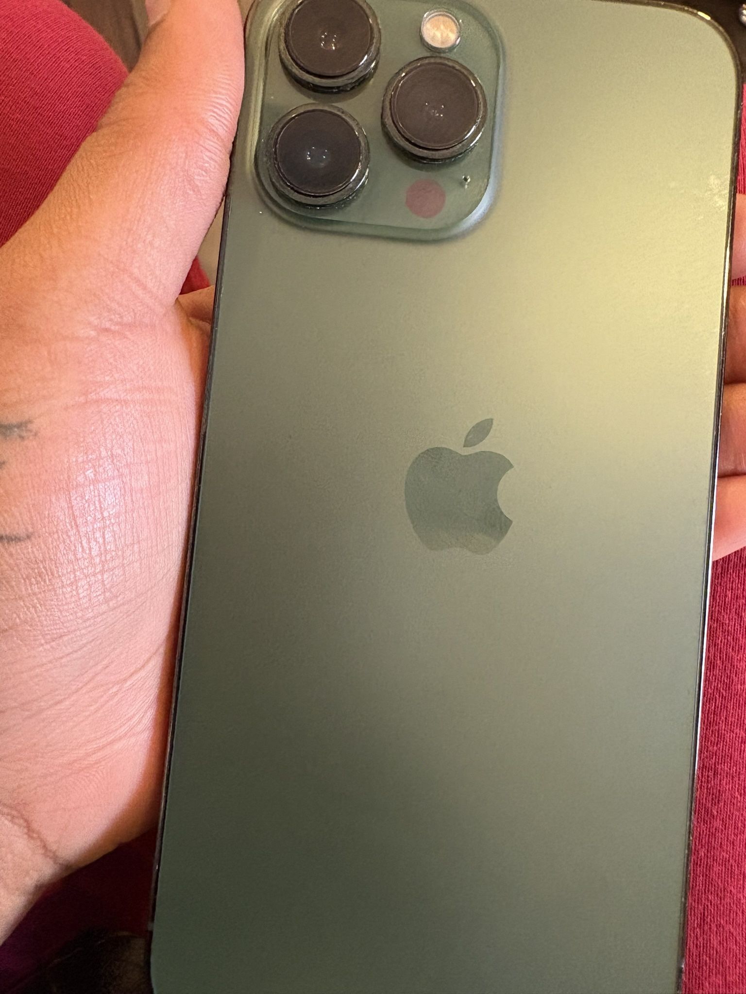 iPhone 13 Pro Max