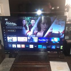 55 Inch Smart TV.    Vizio.  Like New Condition.  Works Great.  Has Romote.  