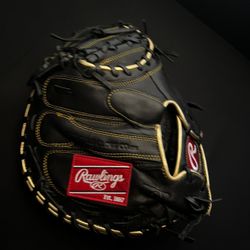 Catchers Glove 