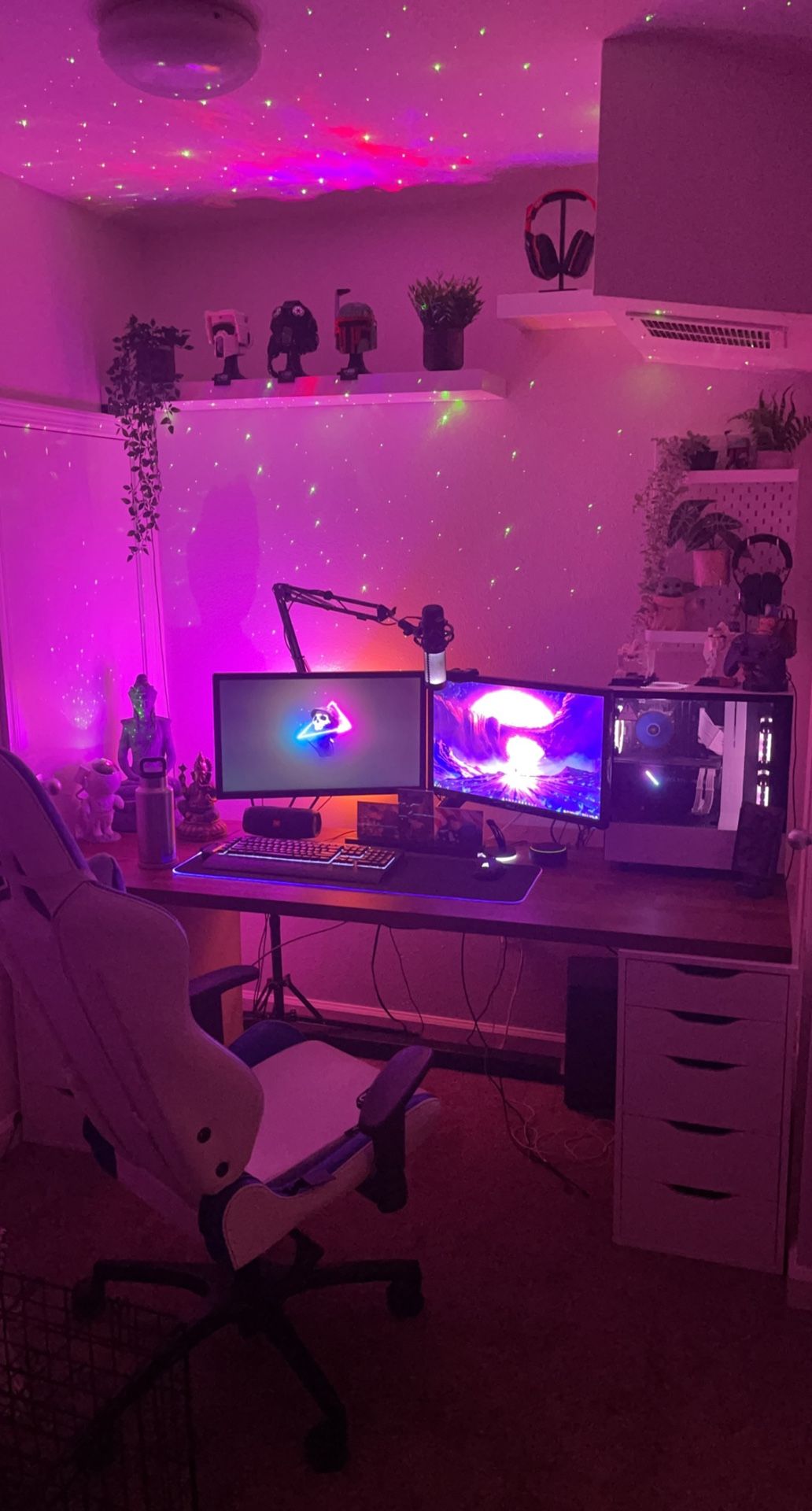 Dual Gaming Monitor’s