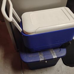 Igloo cooler
