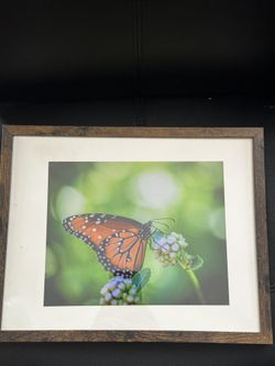 Butterfly Picture With Frame Wall Art