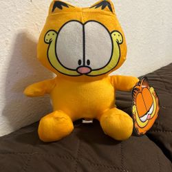 Small Garfield Plushy