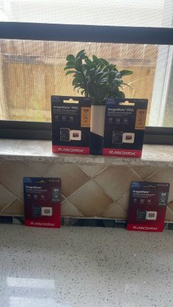 Sandisk bundle