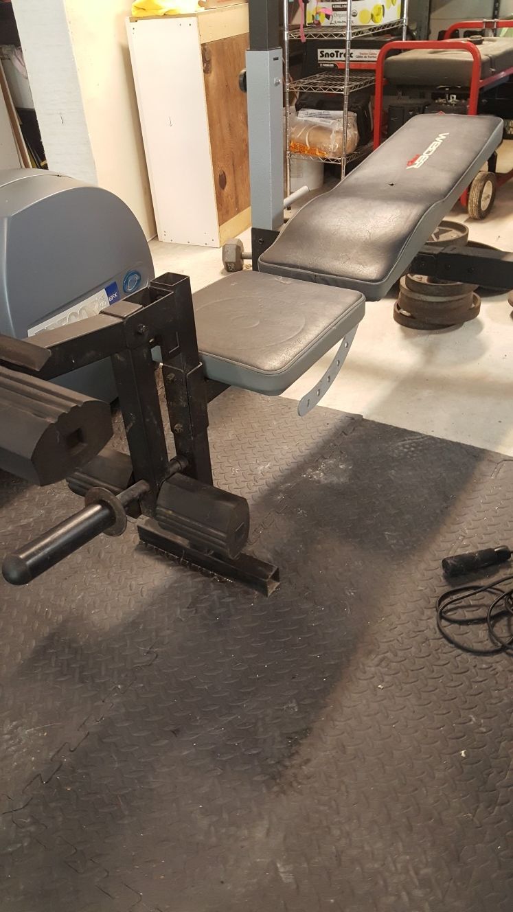 Weider Pro 240 weight bench w/ Olympic weights