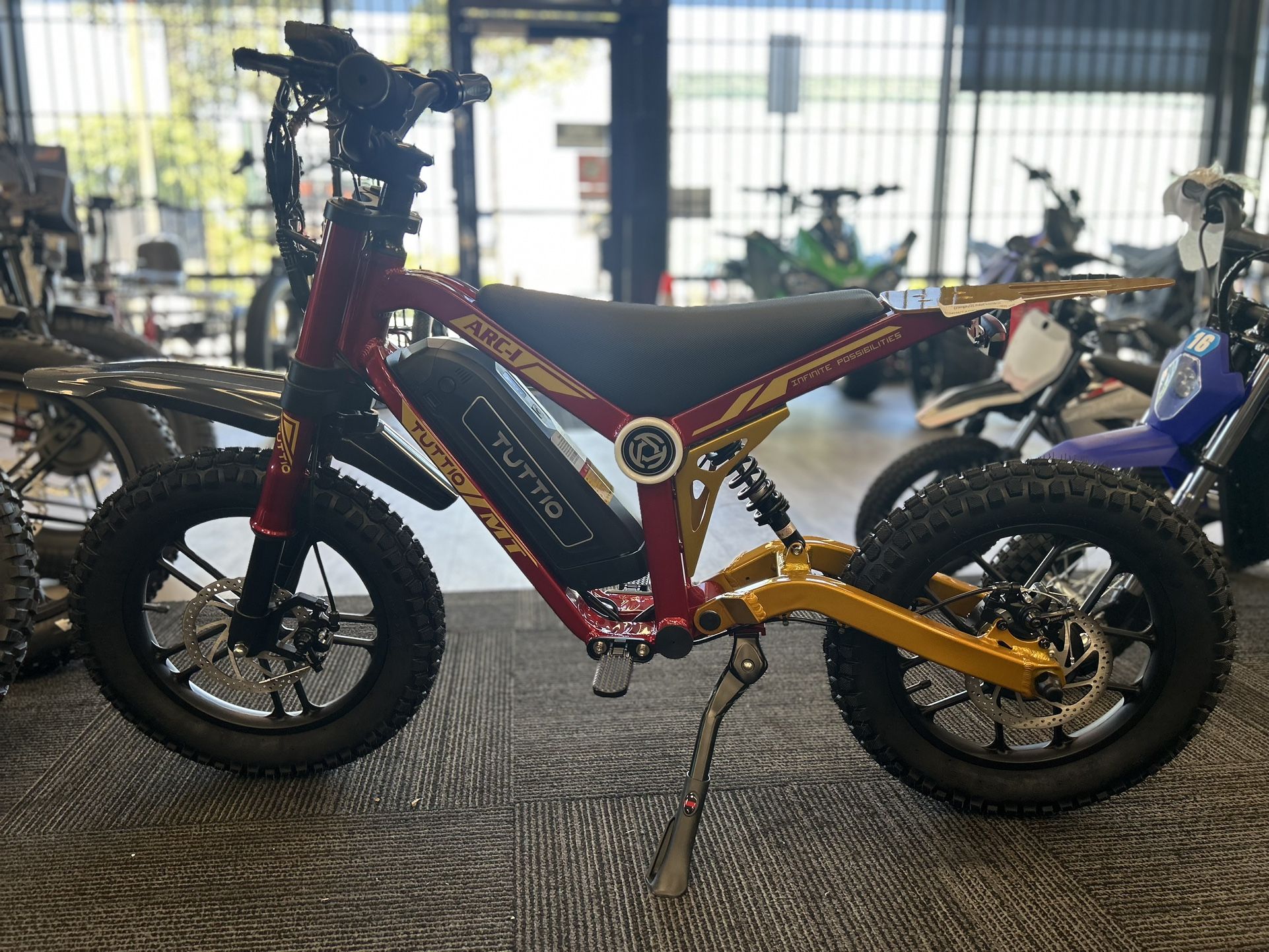 Tuttio ARC-L Kids Electric Bike 750W/36V