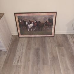 I Have A Horse Picture For Sale