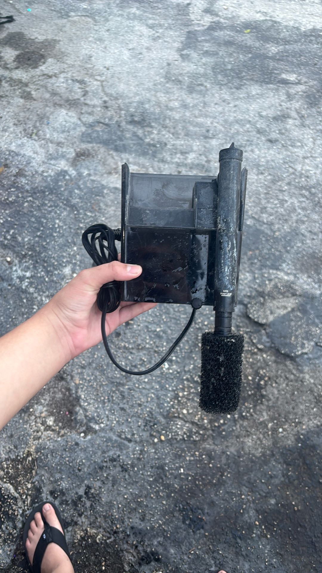 Fish Tank Filter It Work Good Nothing Wrong Just Missing The Top Lid