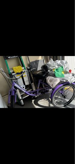 Adult tricycle with basket