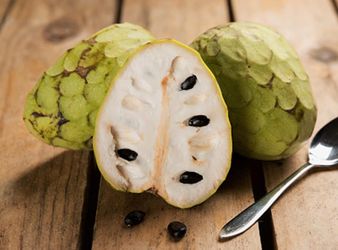 Custard apple/cherimoya plant.