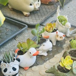 🦊 💥 🦊 💥Cute Fox Ceramic Planter w Succulent 🪴 