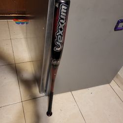 Baseball Bat 34