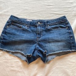 Gap Blue Denim Summer Cut Off Shorts
