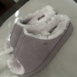 Uggs Slippers 