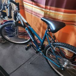 Magna Mountain Bike Blue