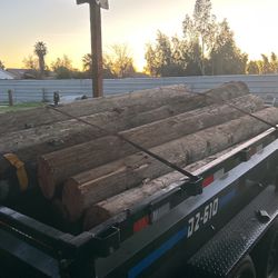 Telephone Poles 9 Feet Long 