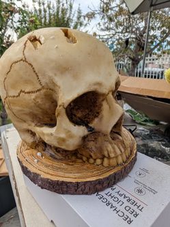 Brand: Generic
4.2
4.2 out of 5 stars
(3)
Skull Knife Holder for Kitchen, Skeleton Stand, Horror Storage Head Rack, Scary Party Fruit Decoration, 15CM