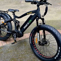 Phat E-Go Swagger 1000w Bafang Mid-drive