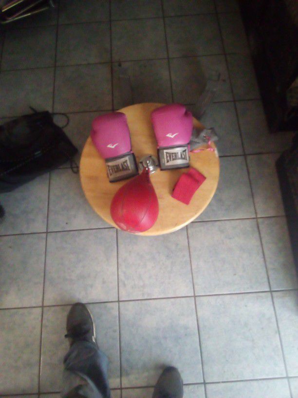 Speed Bag And Gloves