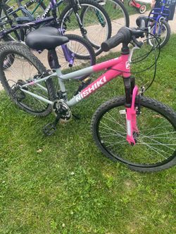 24” nishiki