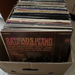 100+ Vinyl Records 