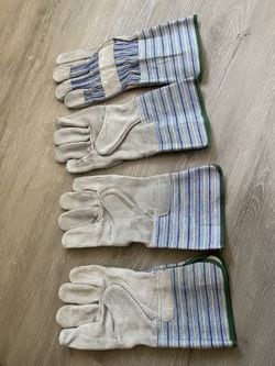 Gloves