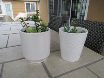 Set Of Off White Print & White Print Garden Pots With Succulents