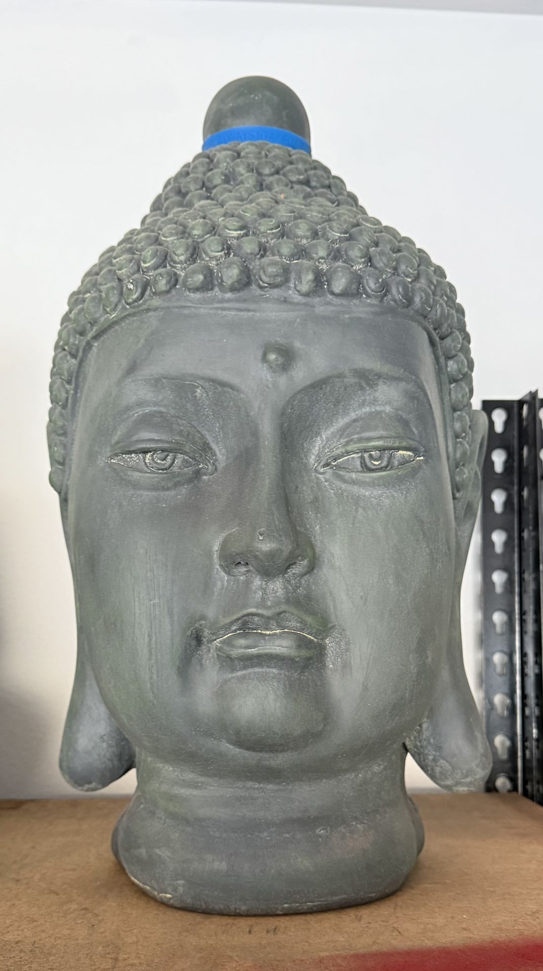 Buddha Head