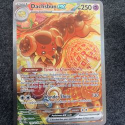 Dachsbun ex #169/142 2024 Pokemon S&V Stellar Crown Holo