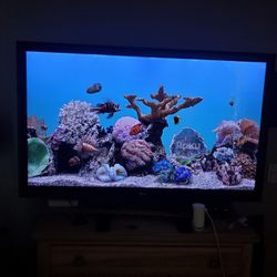 LG tv
