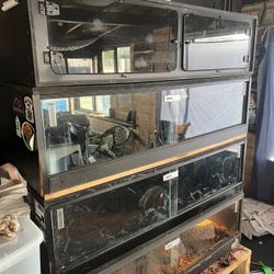Reptile Tanks