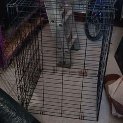 XL Dog Kennel 